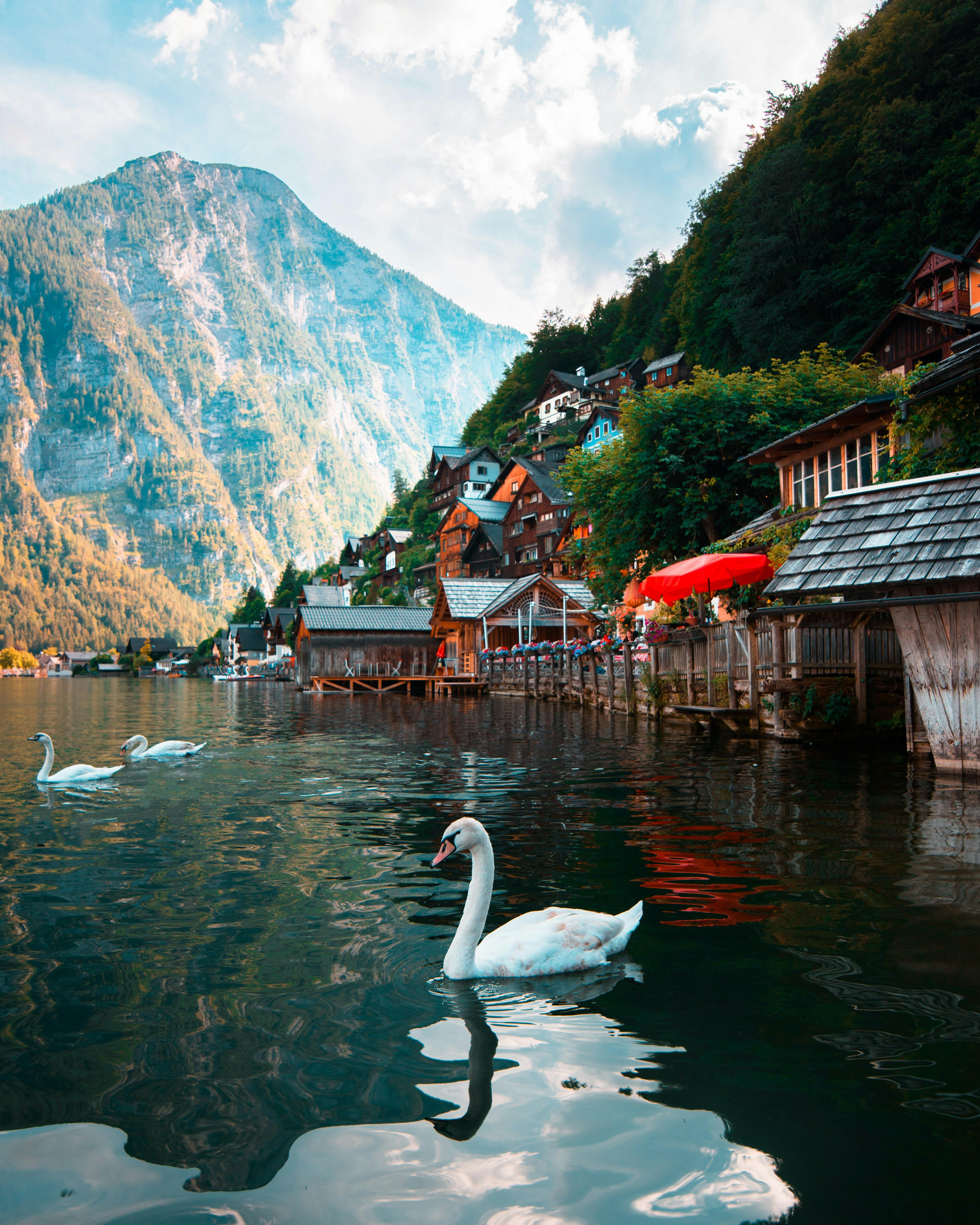 Switzerland Tour